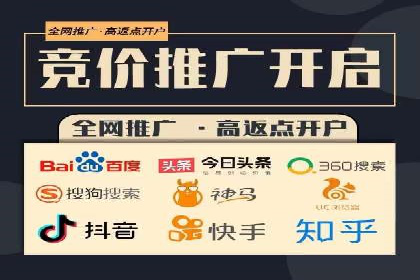 SEM托管公司案例分析：实战技巧全解析